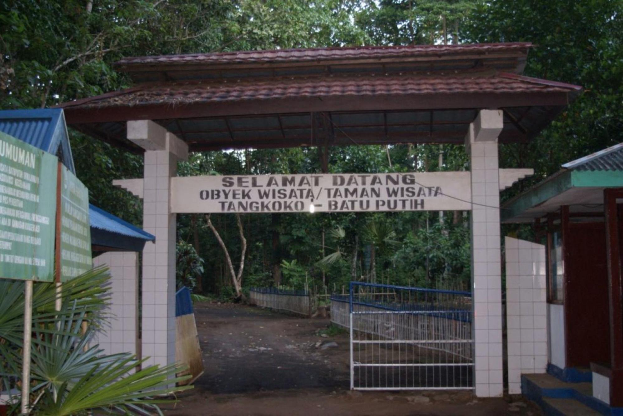 Hotel Tangkoko Macaca Rinondoran Exterior foto